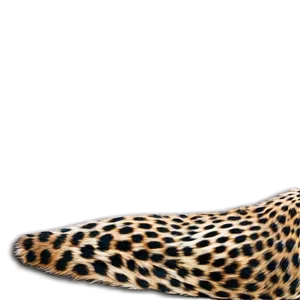 Stylish Cheetah Print Graphics PNG Yky