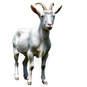 Stylish Goat Png 05232024 PNG image