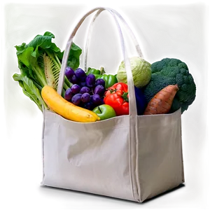 Stylish Grocery Bag Png 61 PNG image