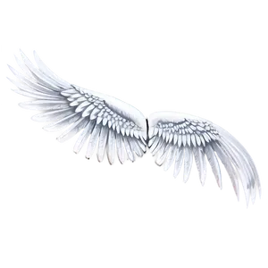 Stylish White Wings PNG 78 PNG