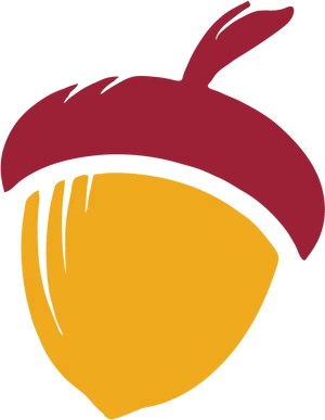 Stylized Acorn Graphic PNG