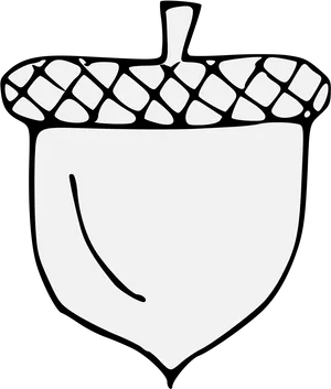 Stylized Acorn Illustration PNG
