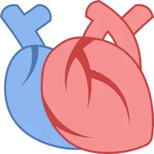 Stylized Anatomical Heart Icon PNG image