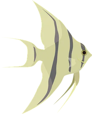 Stylized Angelfish Illustration