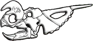 Stylized Animal Skull Drawing PNG