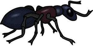 Stylized Ant Illustration
