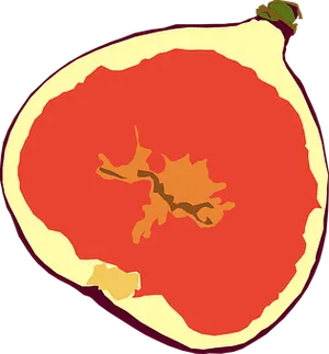 Stylized Apple Cross Section PNG image