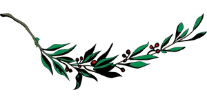 Stylized Bayleaf Branch Graphic PNG image