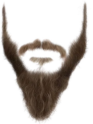 Stylized Beard Illustration PNG image