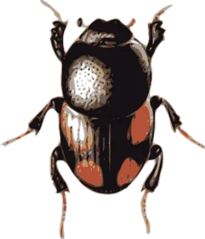 Stylized Beetle Artwork