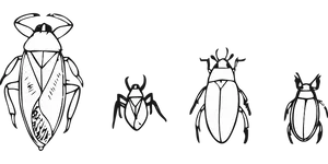 Stylized Beetle Illustrations Black Background PNG image