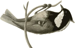 Stylized Bird Artwork