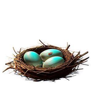 Stylized Bird Nest PNG 05252024 PNG