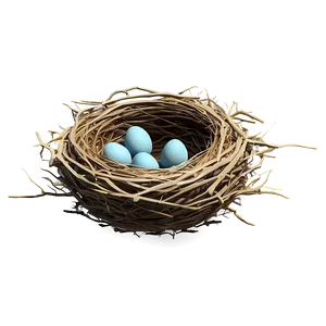 Stylized Bird Nest Png 05252024 PNG image