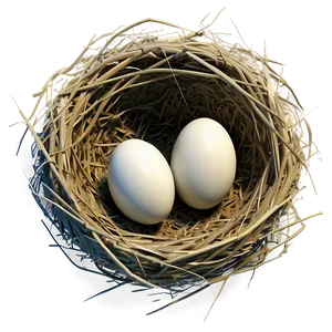 Stylized Bird Nest Png 93 PNG image