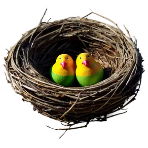 Stylized Bird Nest PNG Yos