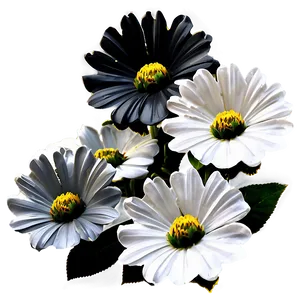 Stylized Black And White Flowers PNG Mli PNG