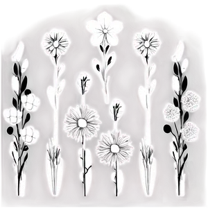 Stylized Black And White Flowers PNG Pci56 PNG
