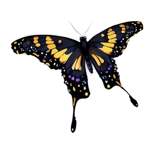 Stylized Black Butterfly PNG 06252024
