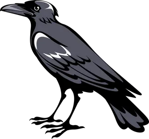 Stylized Black Crow Graphic PNG image