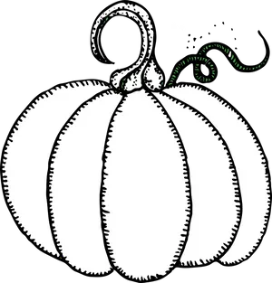 Stylized Black White Pumpkin Illustration PNG image