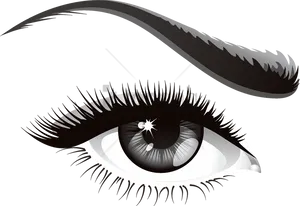 Stylized Blackand White Eye Illustration PNG image