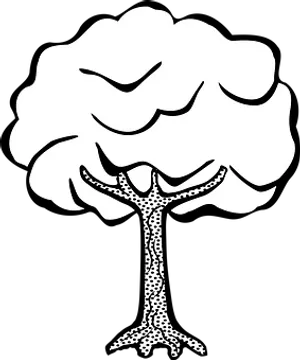 Stylized Blackand White Tree Illustration PNG image