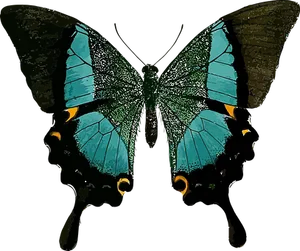 Stylized Blue Butterfly Art