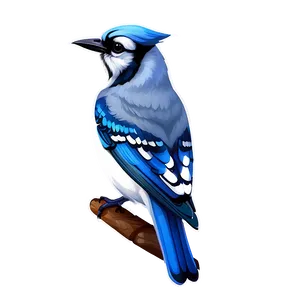 Stylized Blue Jay Graphic Png 34 PNG image