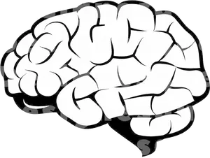 Stylized Brain Clipart PNG image