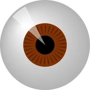 Stylized Brown Iris Eye Clipart PNG