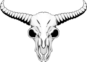 Stylized Bull Skull Illustration PNG image