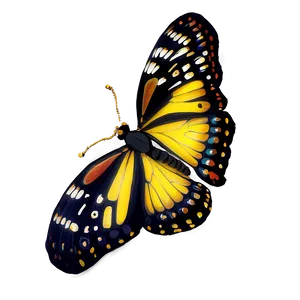 Stylized Butterfly Png 67 PNG image