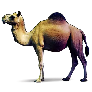 Stylized Camel Png 26 PNG image