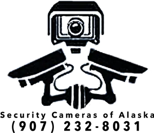 Stylized Cameraand Guns Graphic