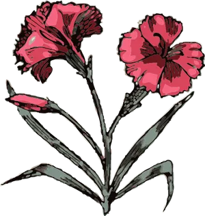 Stylized Carnation Illustration PNG image