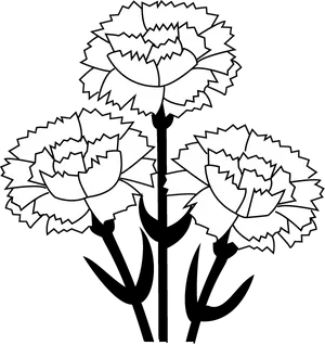 Stylized Carnation Trio PNG image