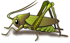Stylized Cartoon Grasshopper