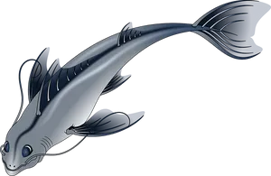 Stylized Catfish Illustration