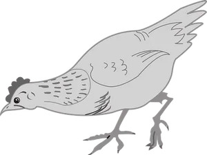 Stylized Chicken Illustration