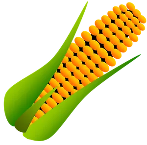 Stylized Corn Cob Illustration PNG image