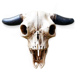 Stylized Cow Skull PNG 24