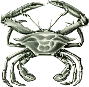 Stylized Crab Illustration