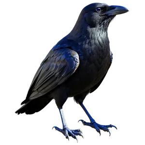 Stylized Crow PNG Qmq