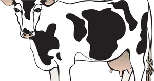 Stylized Dairy Cow Illustration PNG image