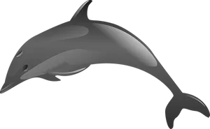 Stylized Dolphin Graphic