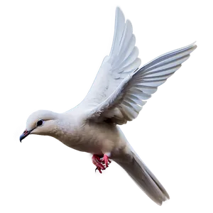 Stylized Dove PNG 56 PNG