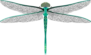 Stylized Dragonfly Illustration