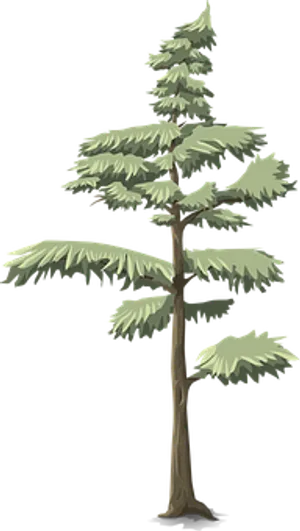 Stylized Evergreen Tree Illustration