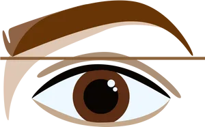 Stylized Eyeand Eyebrow Illustration PNG image
